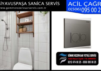 siyavuspaşa sanica servis