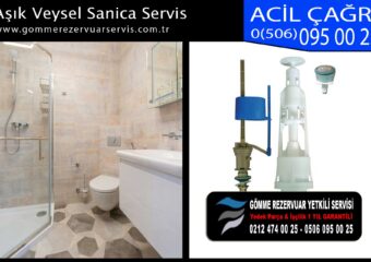 Aşık Veysel Sanica Servis
